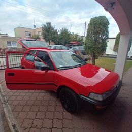 1000008495.jpg