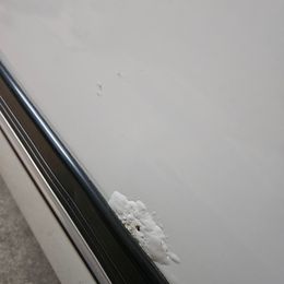 1000035301.jpg
