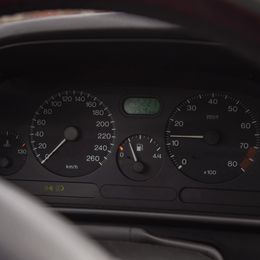1000277495.jpg