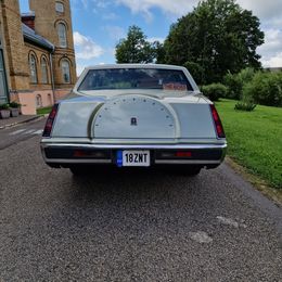 20240731_110910.jpg