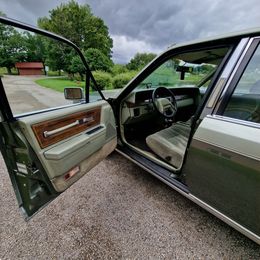 20240801_132721.jpg