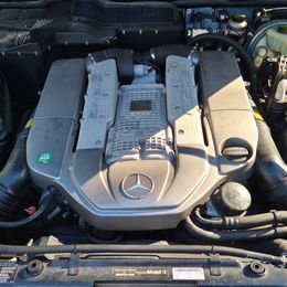 4 (1).jpg