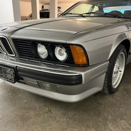 4923500a-70a3-4f7a-8d1f-bf90de81e9bf.jpg