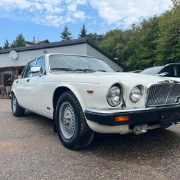 WhatsApp Image 2026-01-26 at 3.53.04 PM (4).jpeg