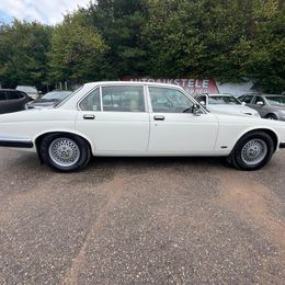 WhatsApp Image 2026-01-26 at 3.53.04 PM (7).jpeg