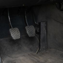 Vidus (10 of 25).jpg