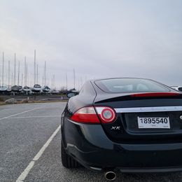 20260312_175035.jpg