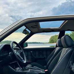 3a2d1ad1-c2c4-40d7-b5f9-3970847da2e6.jfif