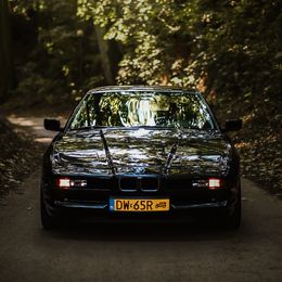 DSC_9247.jpg