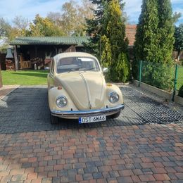 garbus71 (117).jpg