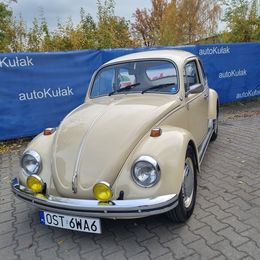 garbus71 (57).jpg