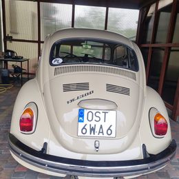garbus71 (6).jpg
