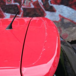 IMG_0425.jpeg