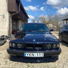 IMG_0607.jpeg