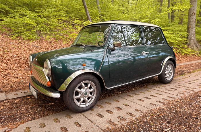 Rover Mini