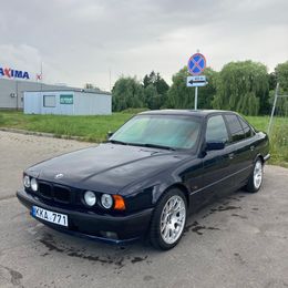 IMG_0965.jpeg