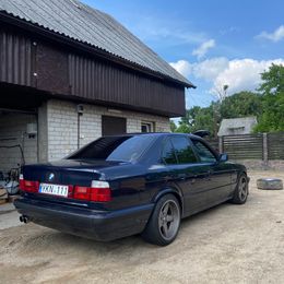 IMG_1113.jpeg