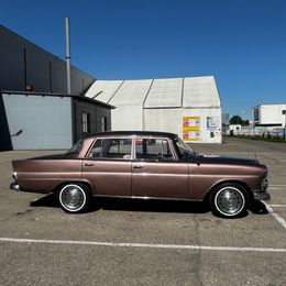 IMG_1288.jpeg