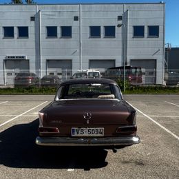 IMG_1290.jpeg