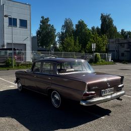 IMG_1291.jpeg