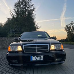 IMG_1294.jpeg