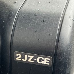 IMG_1662.jpeg