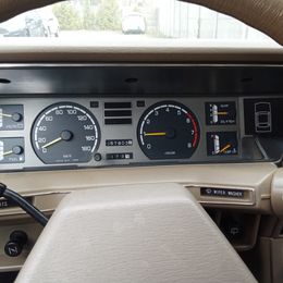 IMG_20250410_120948.jpg