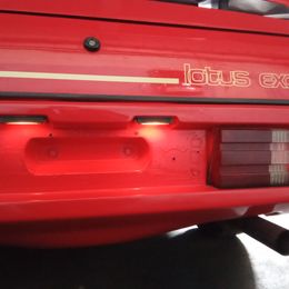 IMG_20250415_122812.jpg