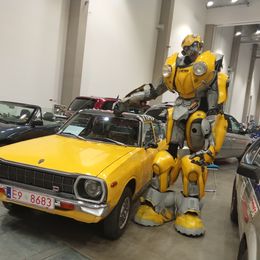 IMG_20260509_112916.jpg