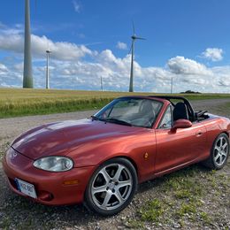 IMG_2221.jpeg
