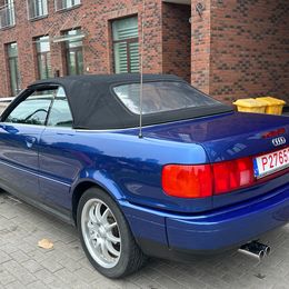 IMG_2221.jpeg