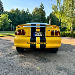 IMG_2429.jpeg