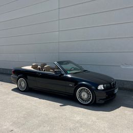 IMG_2429.jpeg