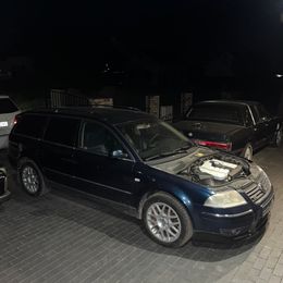 IMG_3313.jpeg
