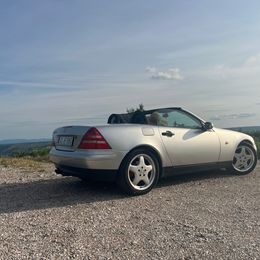 IMG_3346.jpeg