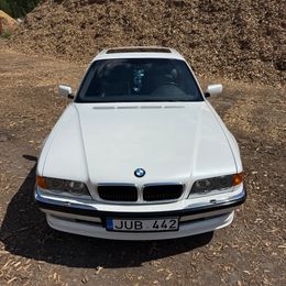 IMG_3493.jpeg