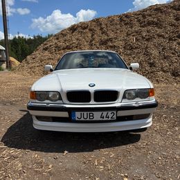 IMG_3494.jpeg