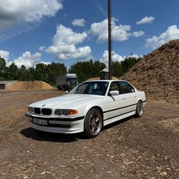 IMG_3495.jpeg