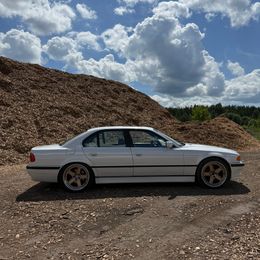 IMG_3497.jpeg