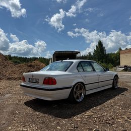 IMG_3498.jpeg