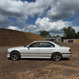 IMG_3501.jpeg