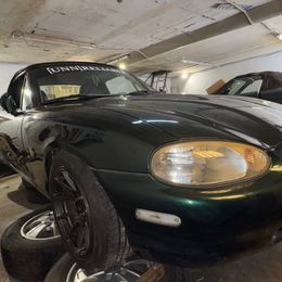 IMG_3684.jpeg