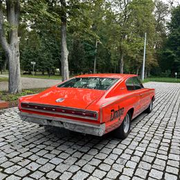 IMG_3829.jpeg