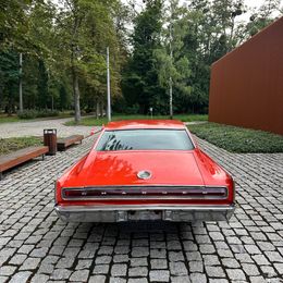 IMG_3830.jpeg