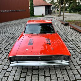 IMG_3838.jpeg