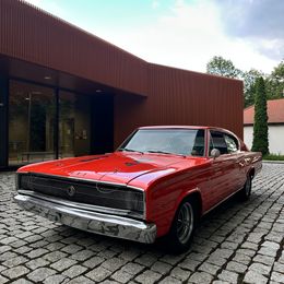 IMG_3840.jpeg