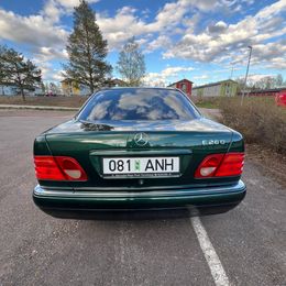 IMG_3939.jpeg
