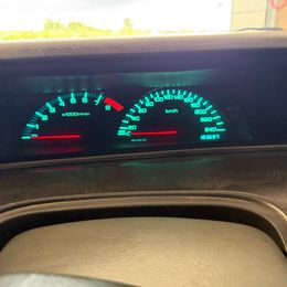 IMG_4137.jpeg