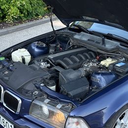 IMG_4678.jpeg