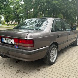IMG_5428.jpeg